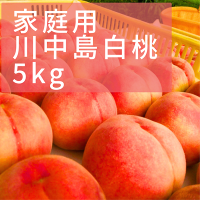 3 早生ワッサー家庭用5キロ 贈答用ワッサー5kg（早生）※7/25頃より順次発送予定 | フルーツ